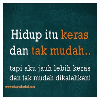 Kata Kata Mutiara Bijak Mutiara Cinta Mutiara Kehidupan Kata Kata Mutiara Bijak Mutiara Cinta Mutiara Kehidupan